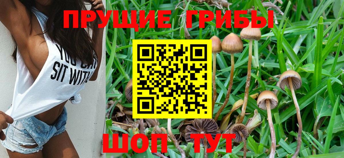 Обнинск  Псилоцибиновые грибы мухоморы  Псилоцибиновые грибы Magic Shrooms  закладка  Вход с VPN 